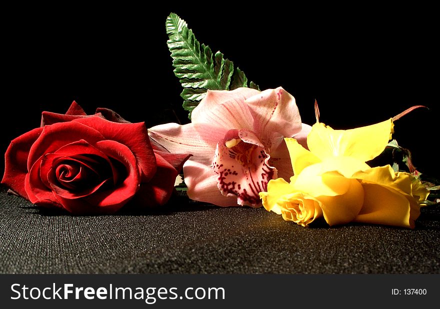 Here are three flowers, an orhidee, a red rose and a yellow rose. This are the most beautifull flowers in the world.