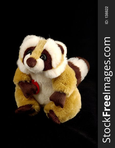 A raccoon teddy