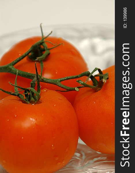 Three tomatoes on a plate close up