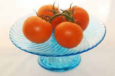 4 Tomatoes With Rain Drops Royalty Free Stock Photo 4 Tomatoes With Rain Drops Royalty Free Stock Photo