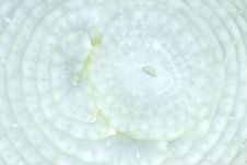 White Onion Slice Royalty Free Stock Photo White Onion Slice Royalty Free Stock Photo