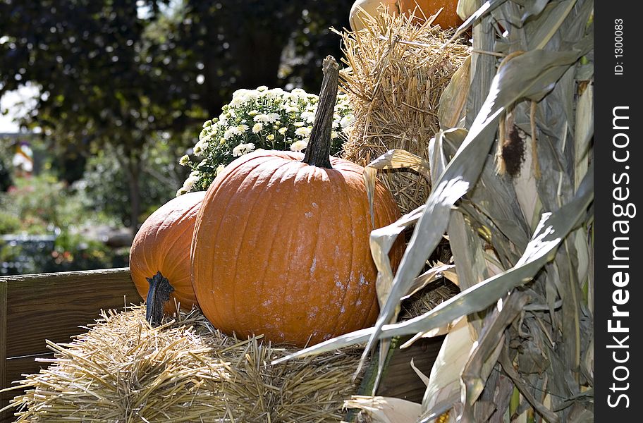 A display of hay, pumpkins, dried corn stalks, mums in a wooden wagon. A display of hay, pumpkins, dried corn stalks, mums in a wooden wagon.