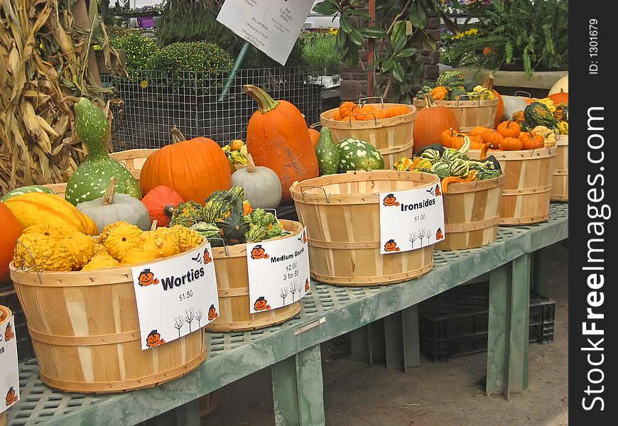 Gourds and pumpkins at an outdoor market. Gourds and pumpkins at an outdoor market