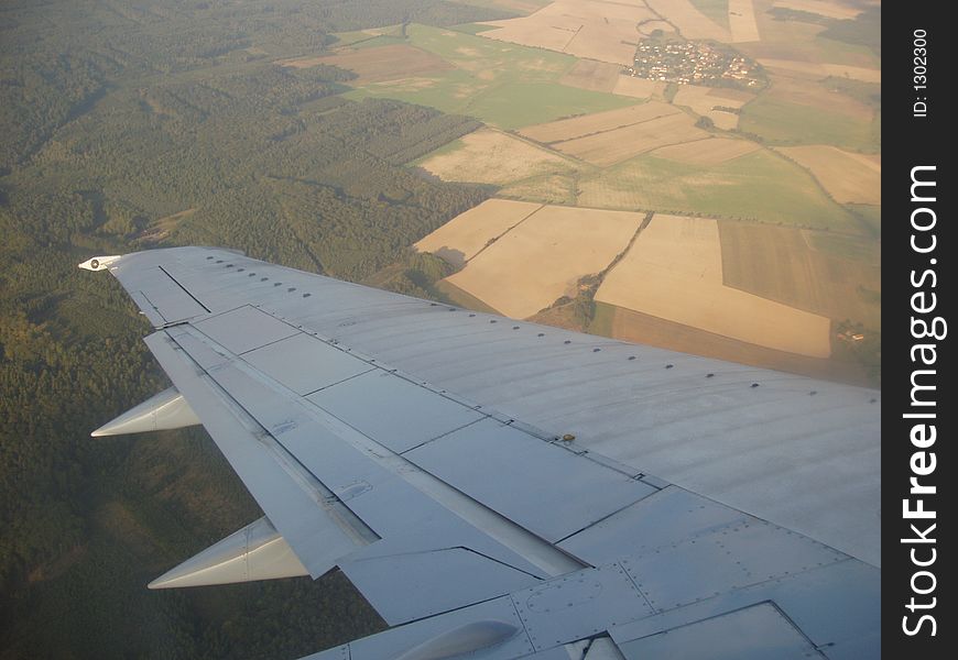 Plane Wing