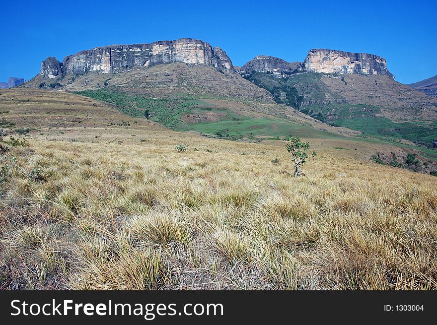 A scene from the South African mountains. A scene from the South African mountains.