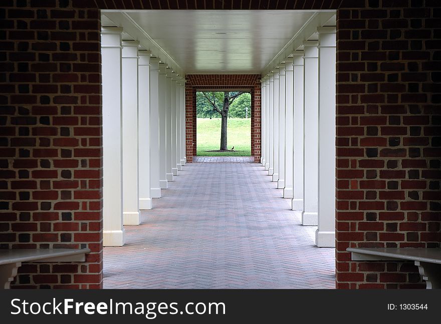 Outdoor walkway that ends in an open view of a field.  The bird at the base of the tree provided an excellent opportunity for this architecture to nature shot. Outdoor walkway that ends in an open view of a field.  The bird at the base of the tree provided an excellent opportunity for this architecture to nature shot.