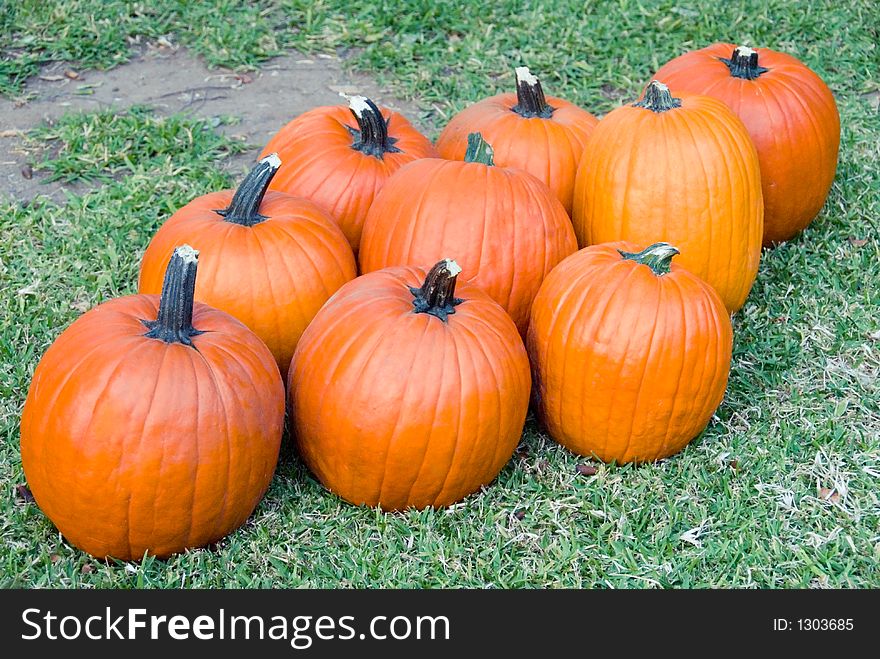 Bunch of orange pumpkins on grass
