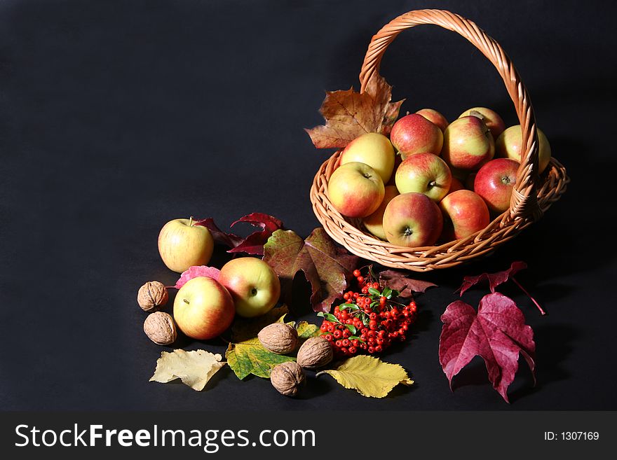 Thanksgiving basket with apples,nuts and rowan. Thanksgiving basket with apples,nuts and rowan