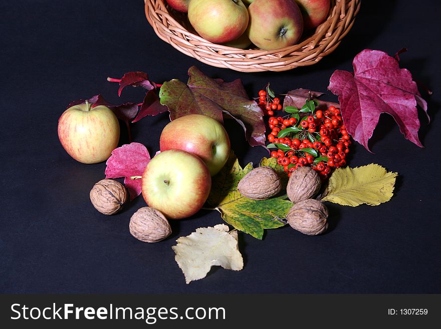 Thanksgiving basket with apples,nuts and rowan. Thanksgiving basket with apples,nuts and rowan