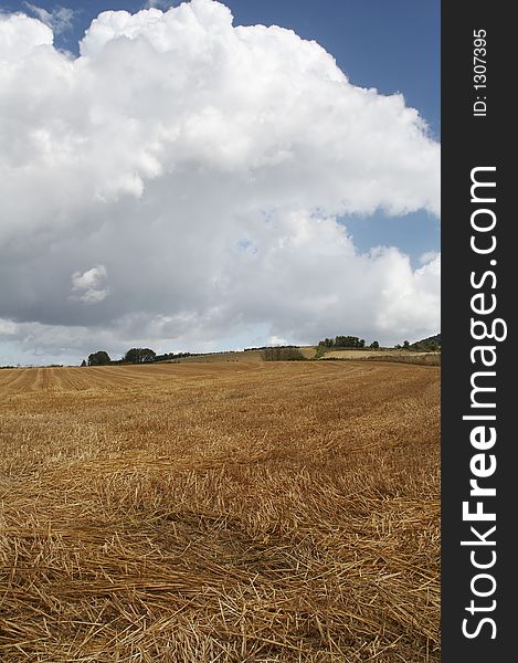 Ploughed corn field in Devon, UK. Ploughed corn field in Devon, UK