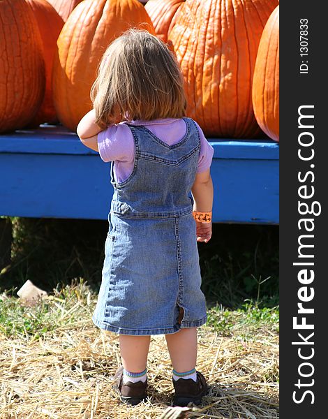 A little girl tries to pick the perfect pumpkin. A little girl tries to pick the perfect pumpkin.