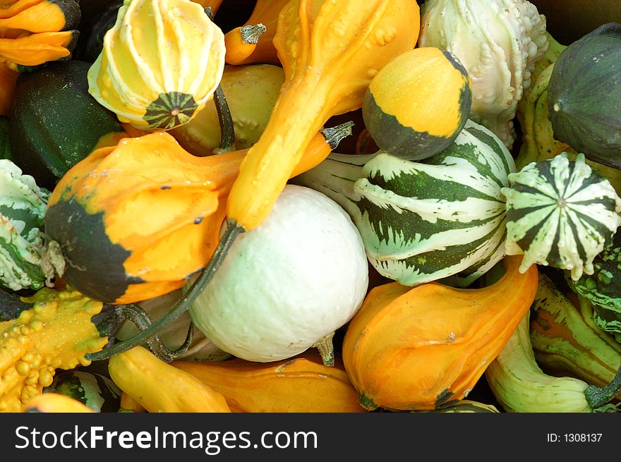 Squashes and gourds in a pile