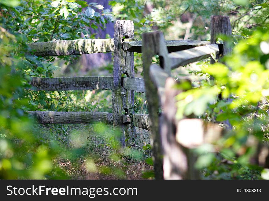 Weathered split rail fence on an overgrown farm