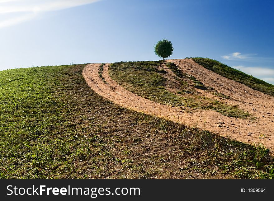 Ball tree on a hill. Ball tree on a hill