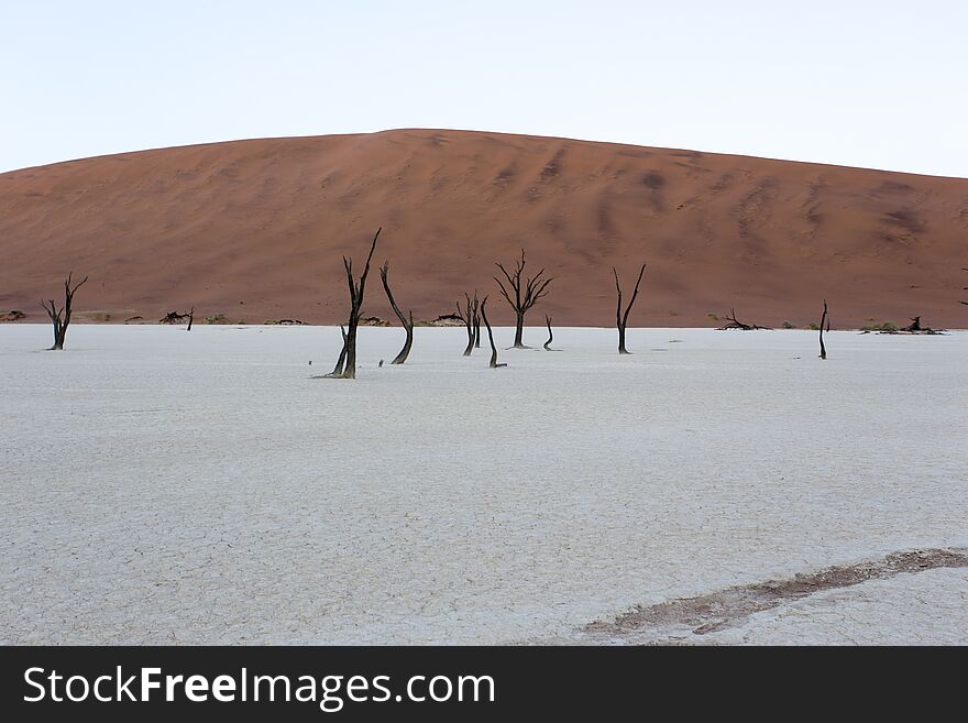 Deadvlei at early morning in namibia. Deadvlei at early morning in namibia