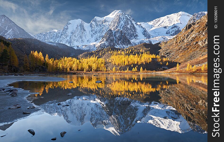 Bright colorful yellow autumn mountain lake, Russia, Siberia, Altai mountains, Chuya ridge. Bright colorful yellow autumn mountain lake, Russia, Siberia, Altai mountains, Chuya ridge.