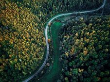 Street Between Autumn Trees In The Forest Aerial Drone View From Above, Dji Mavic Stock Photo Street Between Autumn Trees In The Forest Aerial Drone View From Above, Dji Mavic Stock Photo