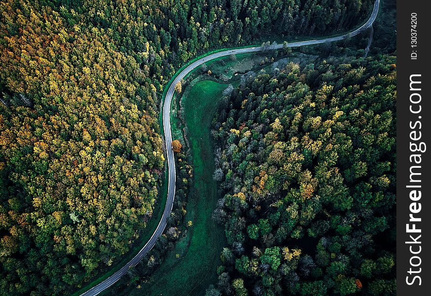 Street Between Autumn Trees In The Forest Aerial Drone View From Above, Dji Mavic