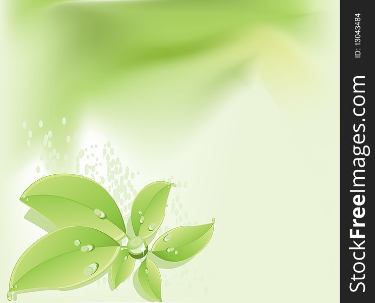 Leaves with water drops background. Leaves with water drops background