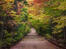 Fall Colors Of Prince Edward Island Stock Photo