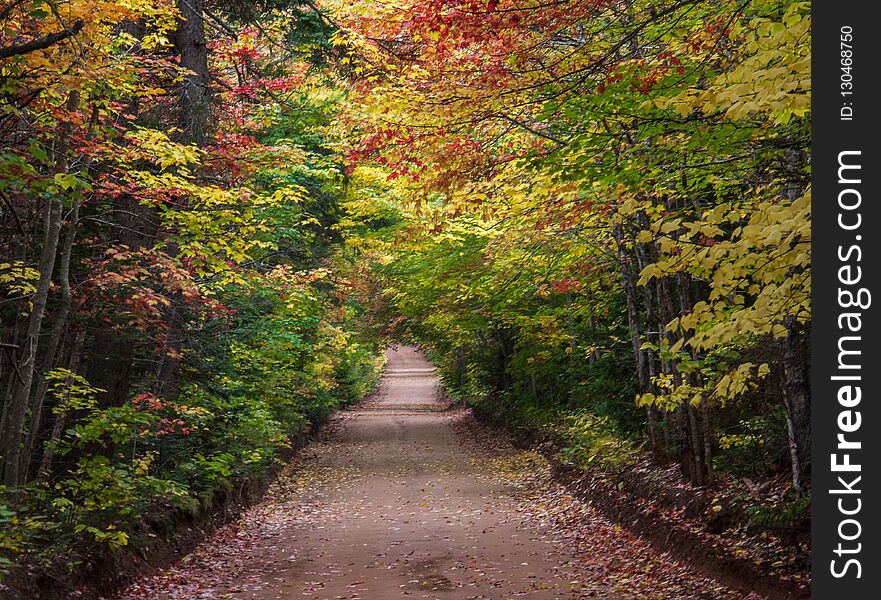 Fall Colors of Prince Edward Island