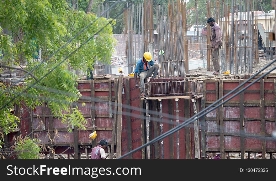 Construction, Tree, Construction Worker, Track