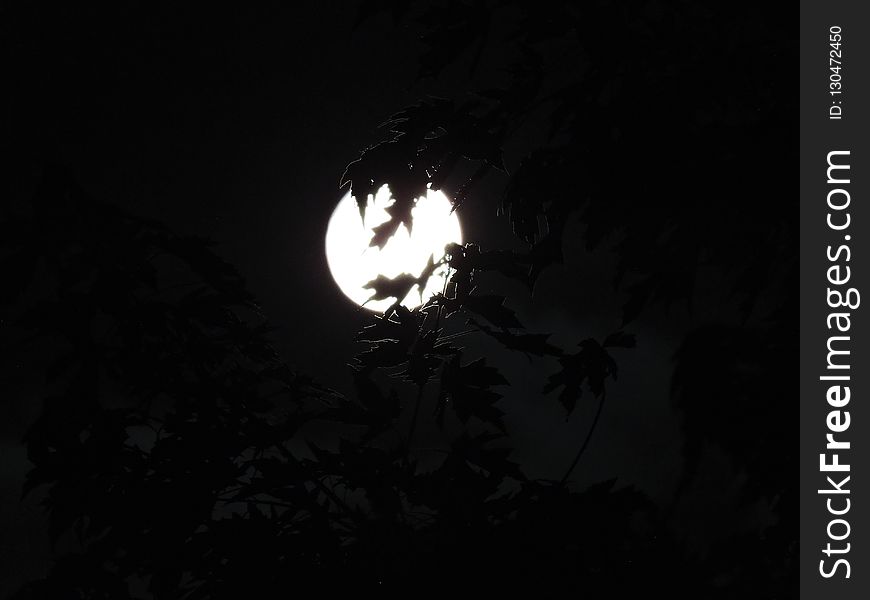 Black And White, Moon, Darkness, Light