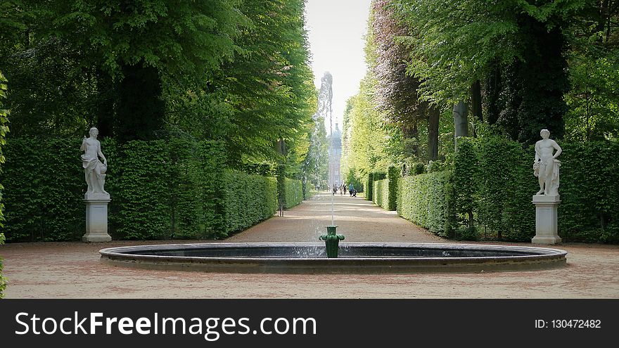 Nature, Tree, Fountain, Water Feature