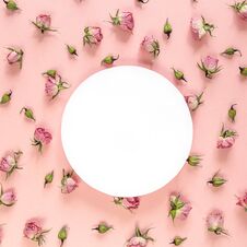 Round Frame With Pink Roses On Pink Background. Place For Text. Royalty Free Stock Image Round Frame With Pink Roses On Pink Background. Place For Text. Royalty Free Stock Image