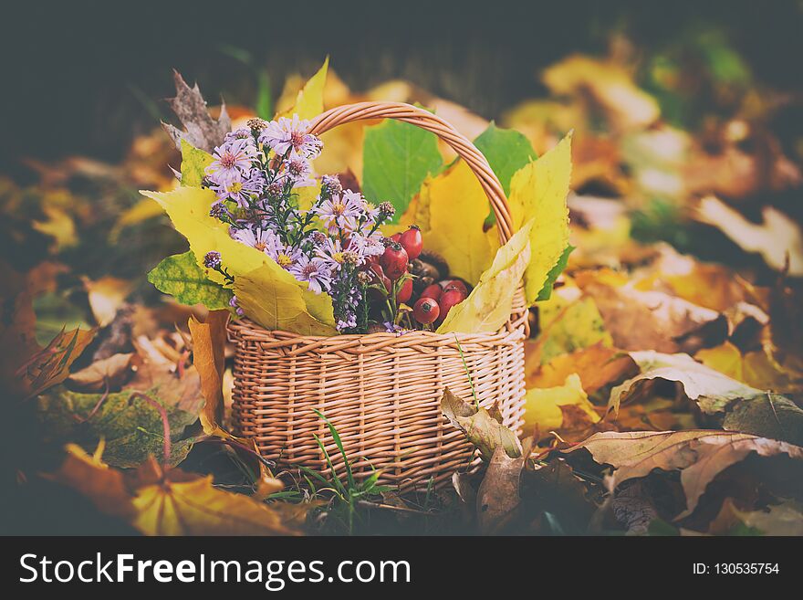 Lovely autumn concept, still life with flowers, berries and leaves in the basket, nature outdoor background