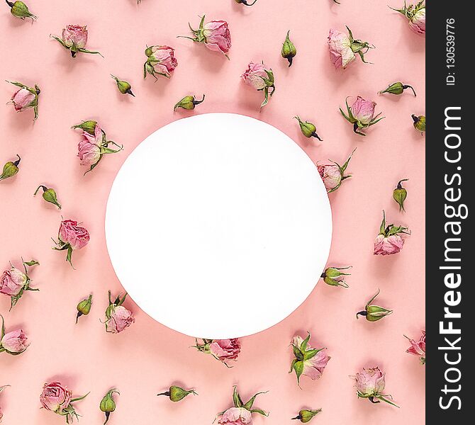 Round frame with pink roses on pink background. Flat lay, top view. Place for text. Round frame with pink roses on pink background. Flat lay, top view. Place for text.