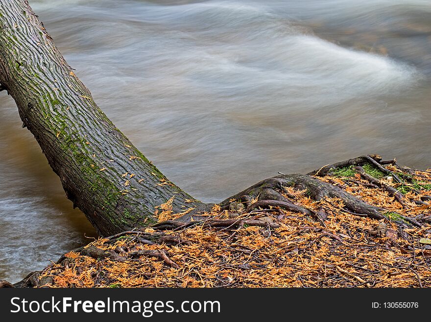 Tree Hangs Precariously Over The River