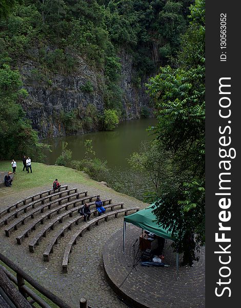 Nature, Nature Reserve, Water, Tree