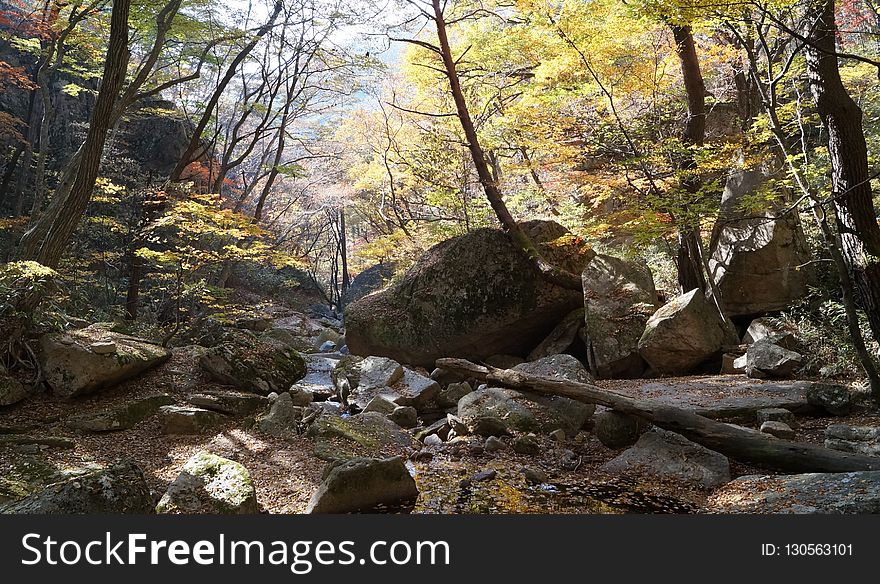 Nature, Rock, Wilderness, Nature Reserve