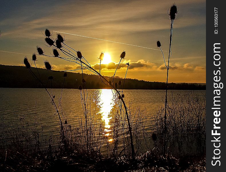 Water, Sky, Sun, Sunset