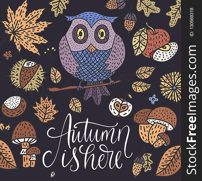 Cozy fall vector illustration. Autumn vector lettering card with handdrawn quote - Autumn is here and cozy doodle owl and decorative clip arts. Cozy fall vector illustration. Autumn vector lettering card with handdrawn quote - Autumn is here and cozy doodle owl and decorative clip arts.
