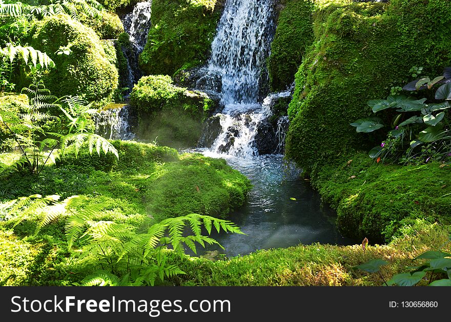 Waterfall and moss covering stone. Waterfall and moss covering stone