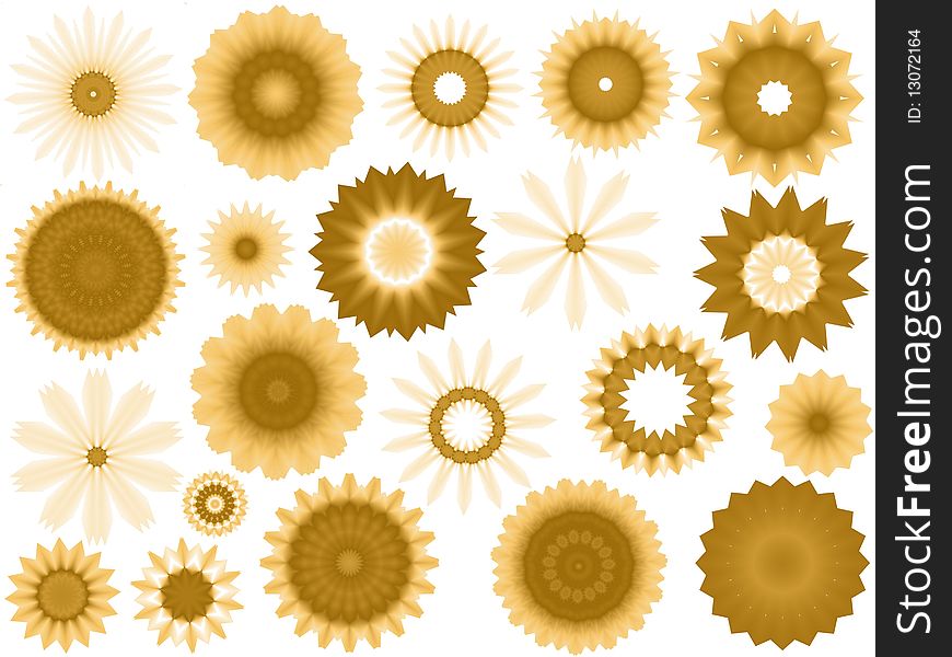 Set of isolated gold sunflowers on white background. Set of isolated gold sunflowers on white background