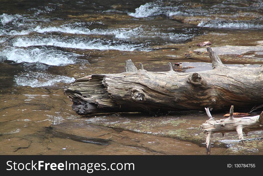Water, Wood, River, Driftwood
