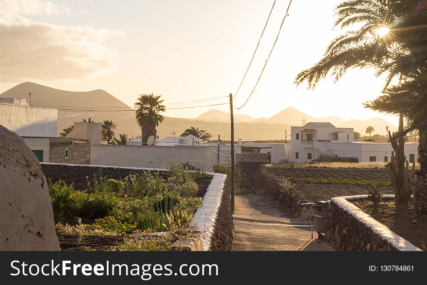 Property, Resort, Arecales, Palm Tree