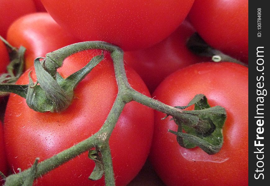 Natural Foods, Vegetable, Tomato, Plum Tomato