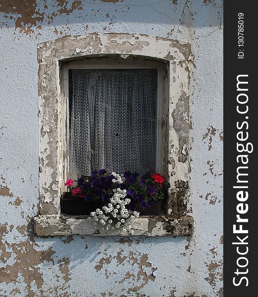 Flower, Window, Wall, House
