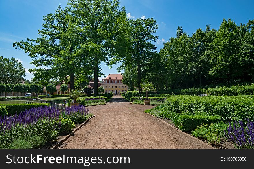 Garden, Nature, Botanical Garden, Plant