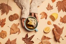 Woman In Autumn Sweater Holding Cup Royalty Free Stock Photography Woman In Autumn Sweater Holding Cup Royalty Free Stock Photography