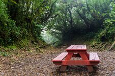 Picnic Table In A Cloud Forest Of Reserva Biologica Bosque Nuboso Monteverde, Costa Ri Royalty Free Stock Photos