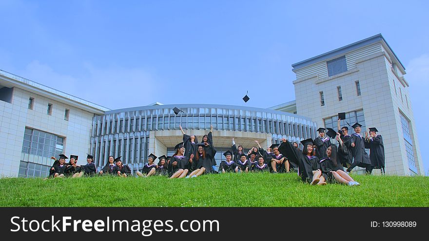 Grass, Campus, Lawn, Building