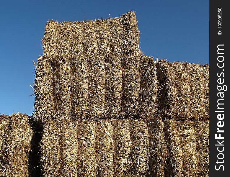 Hay, Straw, Agriculture, Field