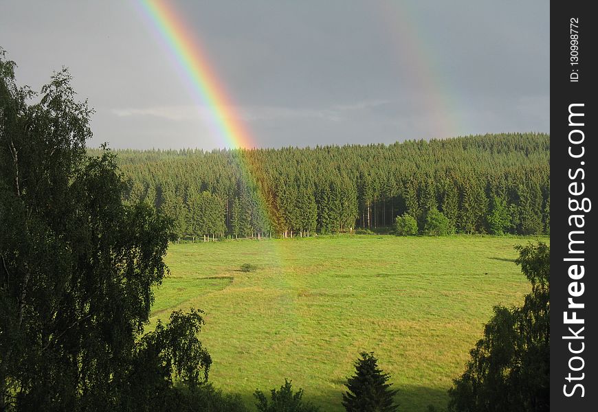 Rainbow, Ecosystem, Sky, Grassland