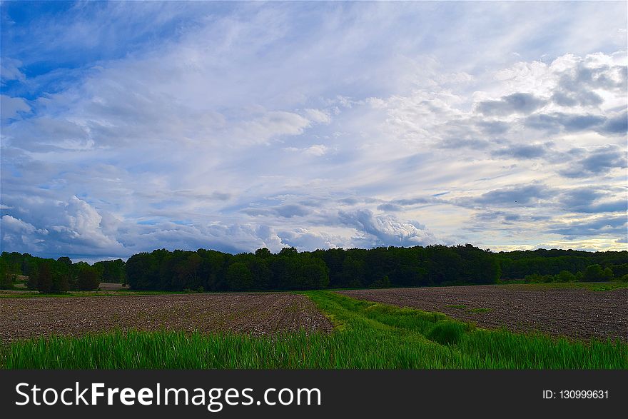 Sky, Grassland, Field, Cloud