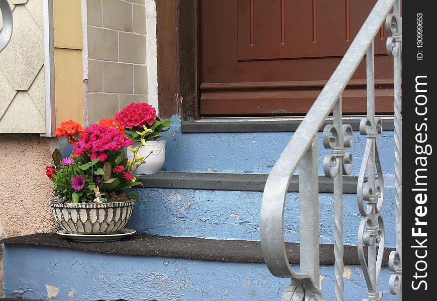 Window, Handrail, Flower, House